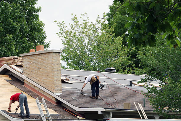 Best Solar Panel Roofing Installation  in St Ann, MO